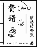 赘婿封面